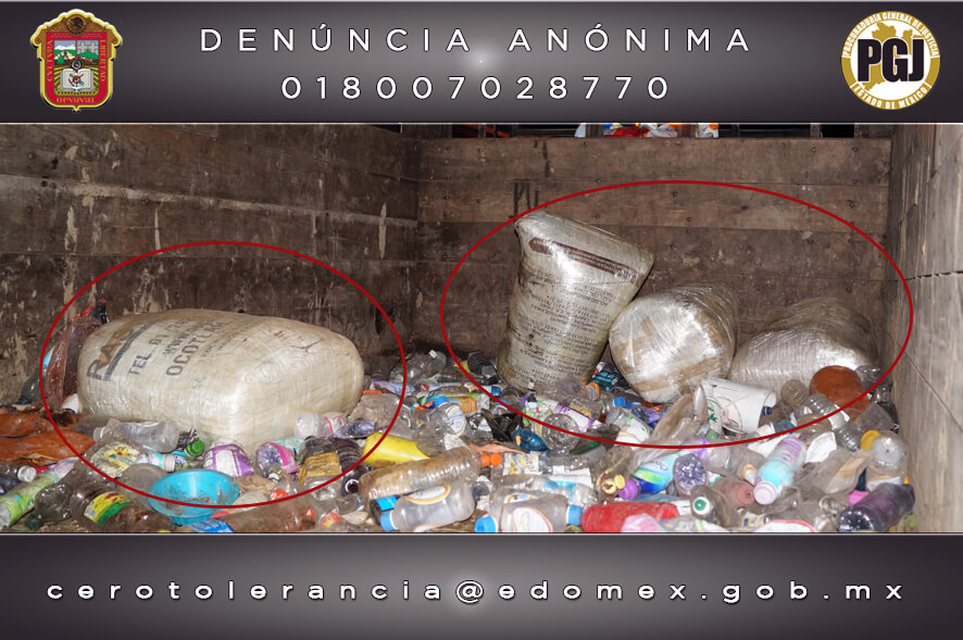 Decomisan 100 kilos de marihuana en Xonacatlán