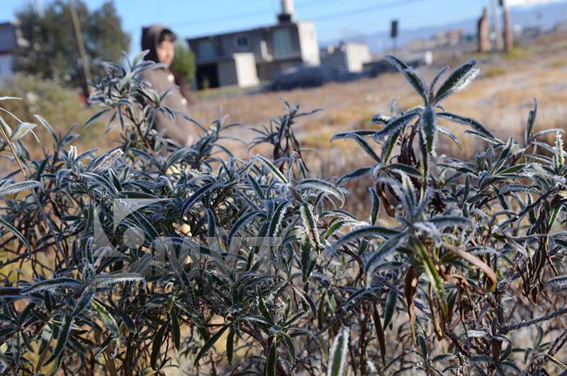 Se agudiza el frío en el Valle de Toluca