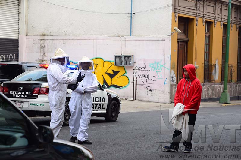 Causan abejas gran movilización en torno a escuela