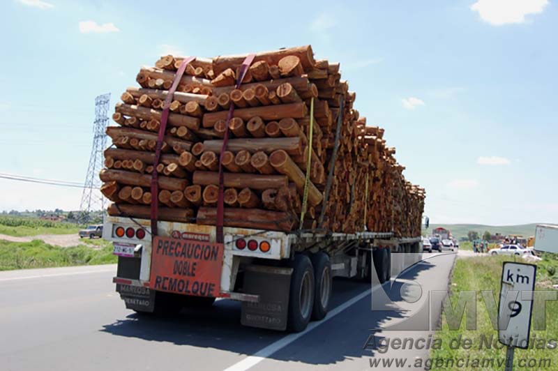 Aseguran material forestal ilegal