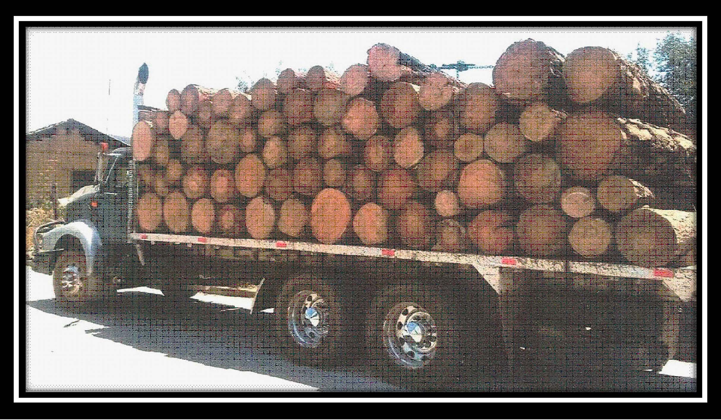 Detenidos por transportar madera de procedencia ilegal