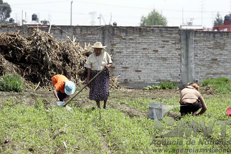 Toman acciones preventivas para evitar que sequía afecte a campesinos
