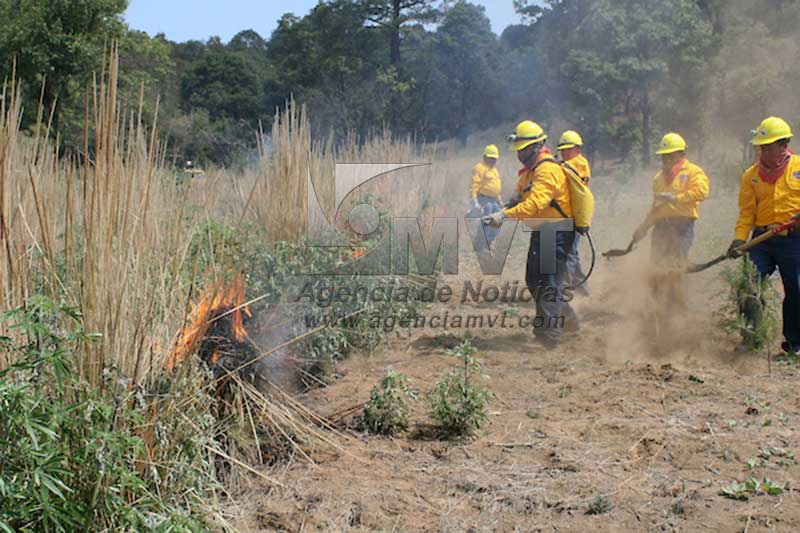 Avanza CONAFOR en construcción y rehabilitación de brechas cortafuego