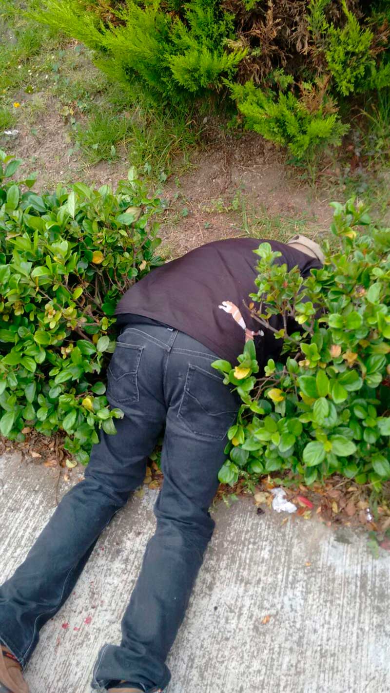 Balean en Tecámac a una familia; mueren 3 y 1 lesionada