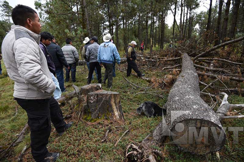 FOTO: Agencia MVT / Crisanta Espinosa