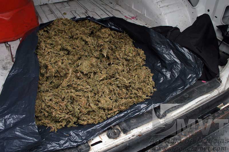Inicia PGR proceso contra sujeto que transportaba 20 kilos de marihuana