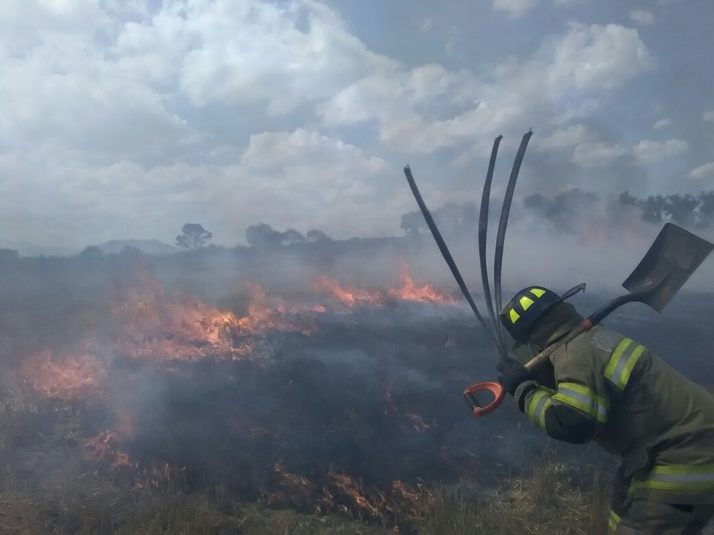 Sofocan Bomberos de Toluca incendio en corral porcino