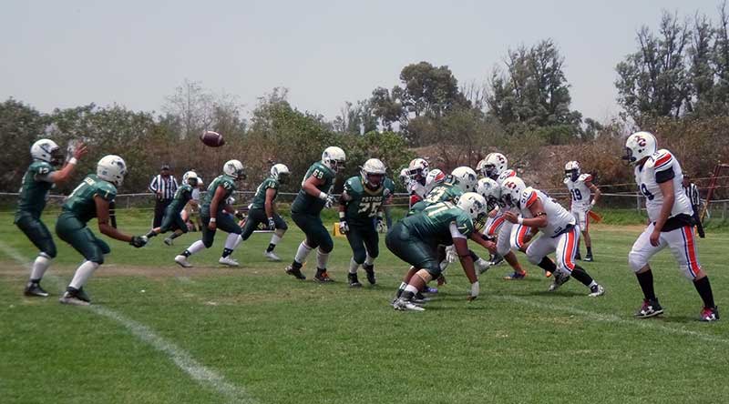Potros Salvajes Verde derrota 24-6 a Tigres Coacalco