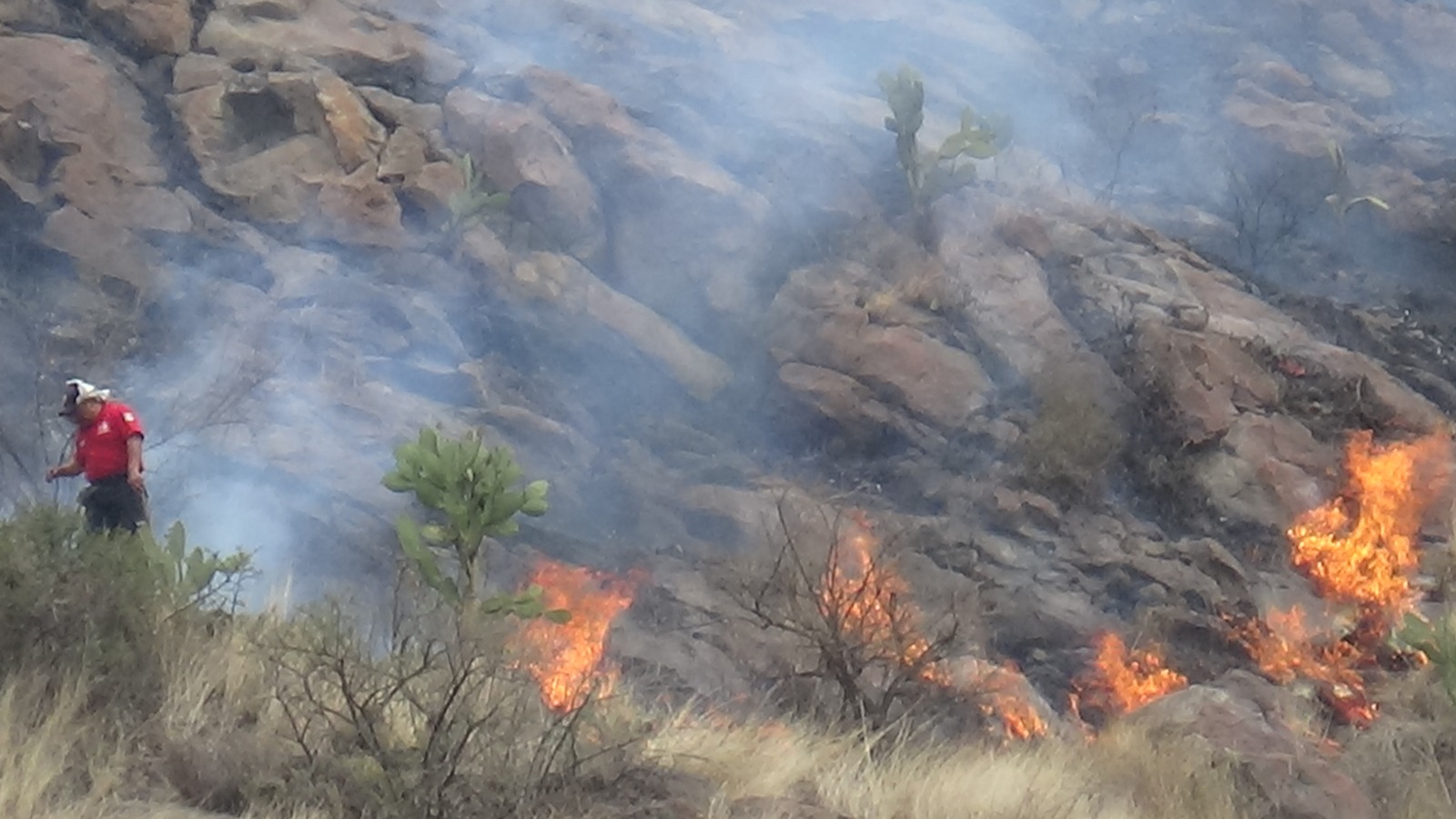 Incendio afecta hábitat de animales silvestres y pone en riesgo pinturas rupestres en Ixtapaluca