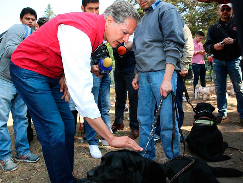 perros2