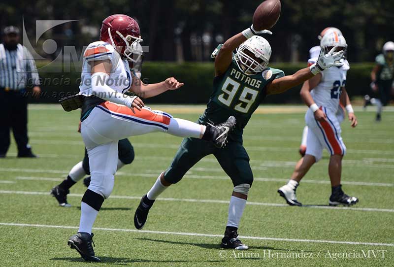 Potros Salvajes Verde gana 10-7 a Tigres Coacalco y avanza a la gran final de ONEFA