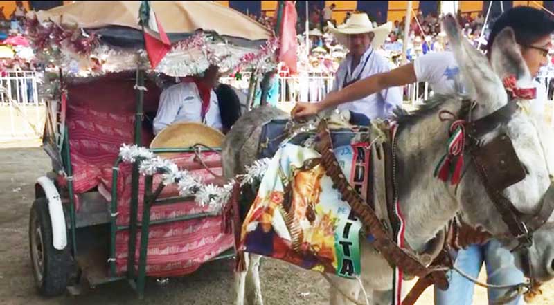 Feria Nacional del Burro Otumbra 2017 reunió a grandes y chicos