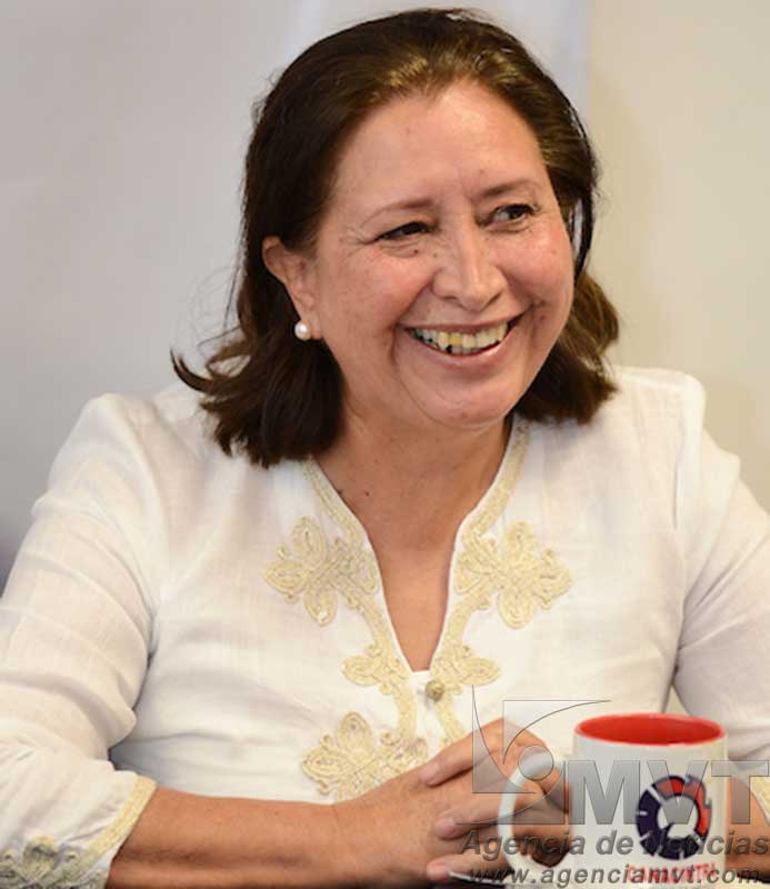 Escasa derrama económica dejaron campañas proselitistas en Edomex