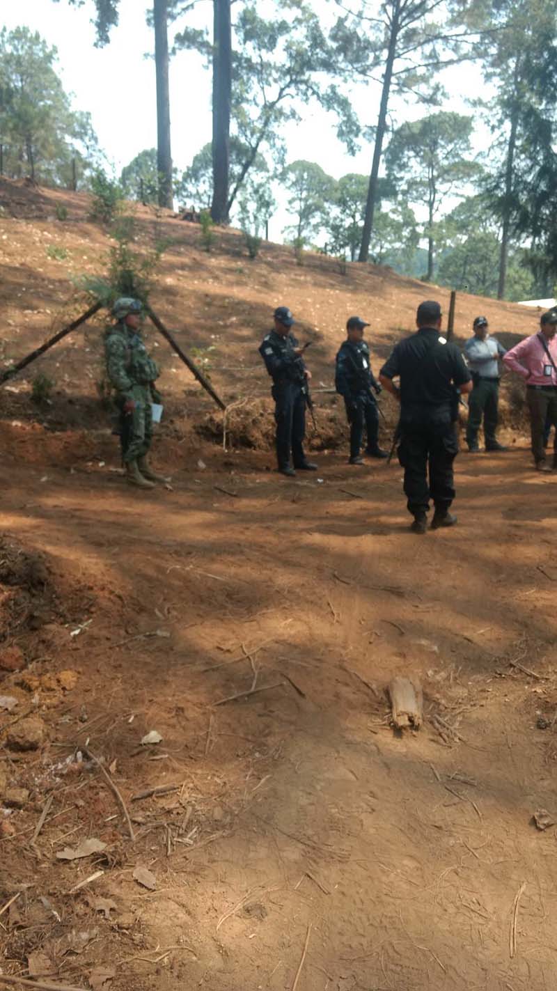Aseguran autoridades estatales y federales un predio de Valle de Bravo por tala clandestina
