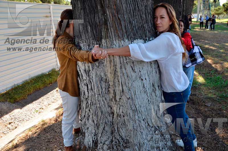 Se abrazan a los árboles de Paseo Tollocan para evitar que los derriben para construir acceso a placa comercial
