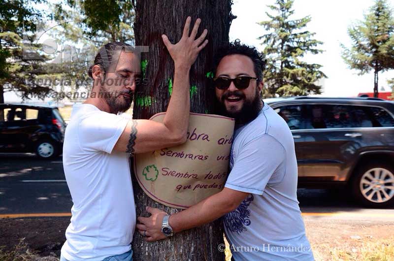 Se unen Botellita de Jerez y los Súper cívicos al movimiento que defiende los árboles del Paseo Tollocan