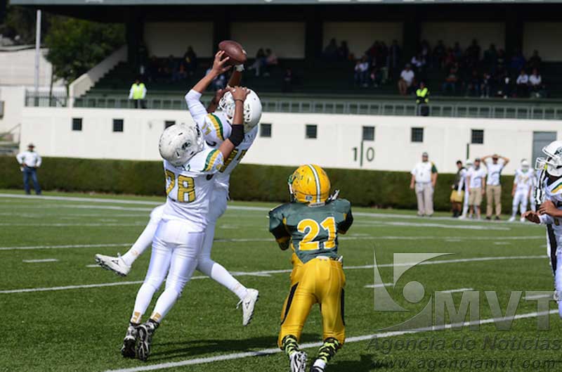 Juegan postemporada las seis categorías infantiles de Potros Salvajes de UAEM