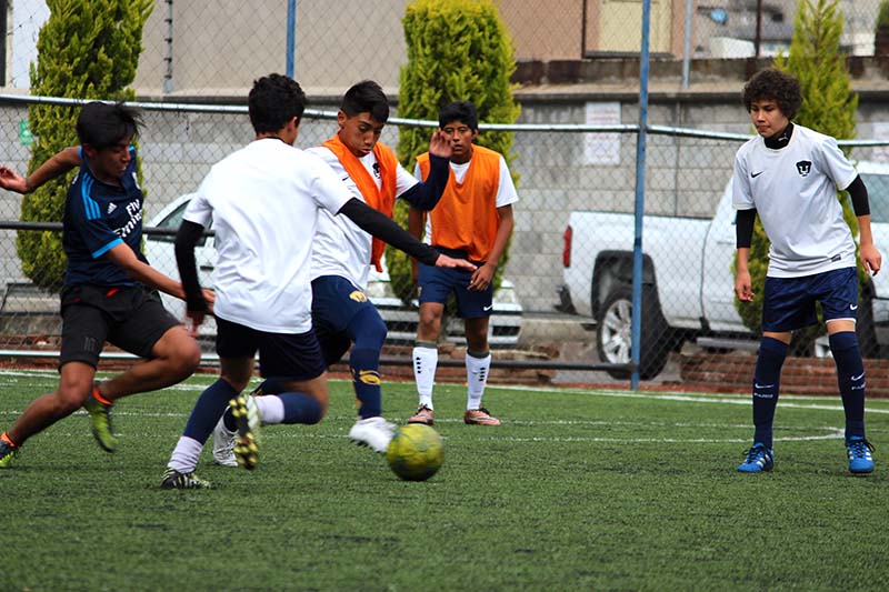 Busca Pumas Metepec conformar equipo de cuarta división