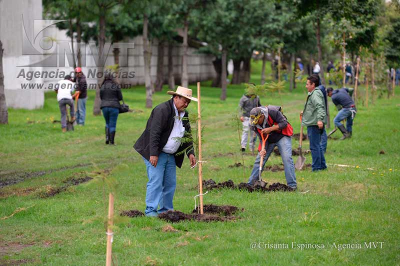 Cuenta Paseo Tollocan ahora con 10 mil árboles