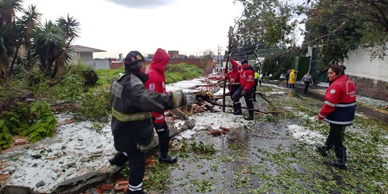 179 árboles caídos, techumbres y bardas, saldo de la fuerte lluvia de este jueves en Toluca 