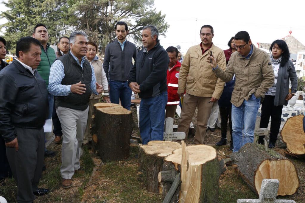 Retiraron 23 árboles del panteón de San Mateo Oxtotitlán que cayeron con la tromba