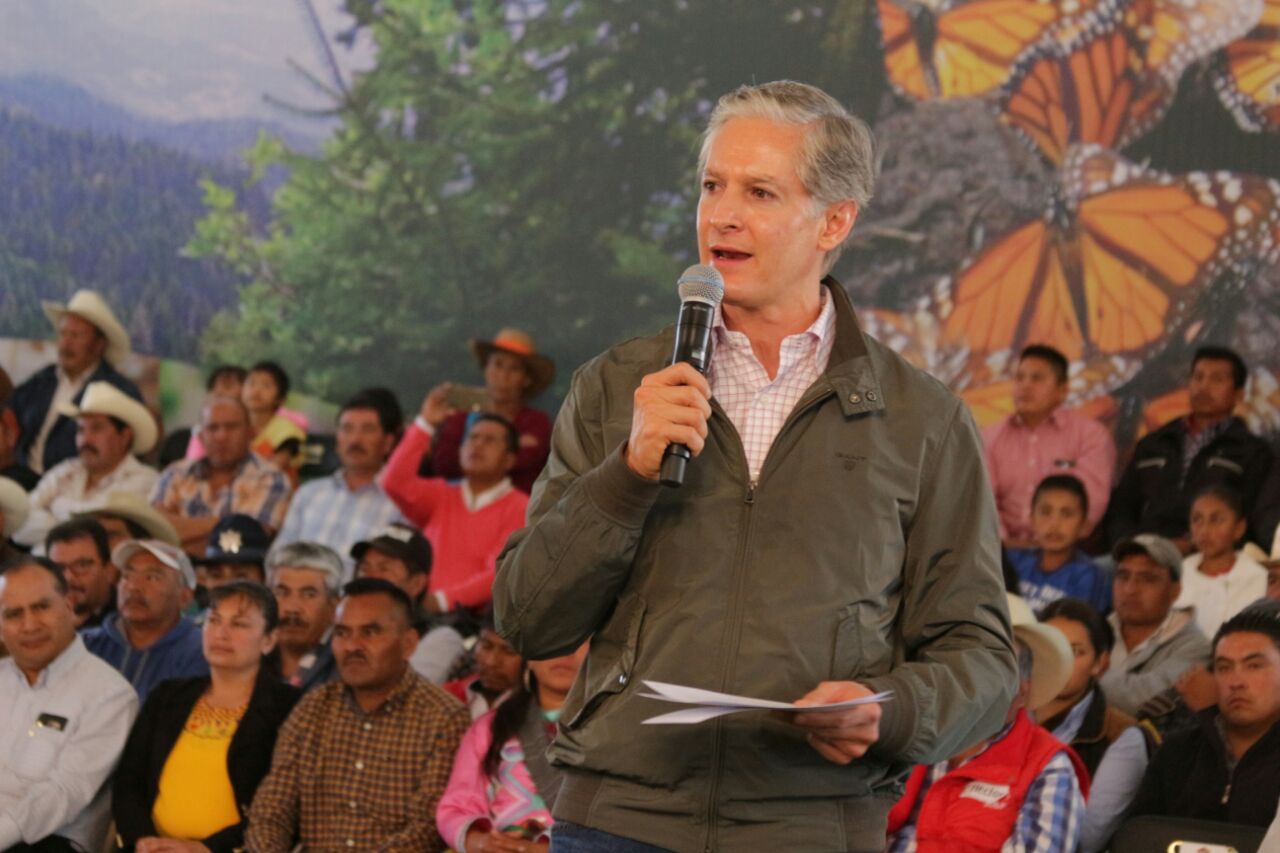 Arranca oficialmente visita a santuarios de la Mariposa Monarca en Edoméx