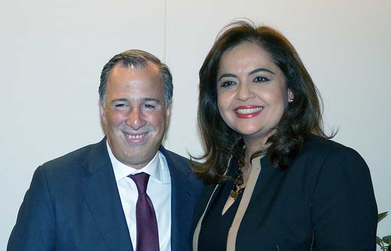 Con Meade estabilidad y certeza al país: Ana Lilia Herrera