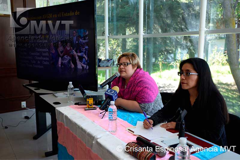 En el 2016 hubo en Edomex 236 feminicidios, asegura Observatorio Ciudadano