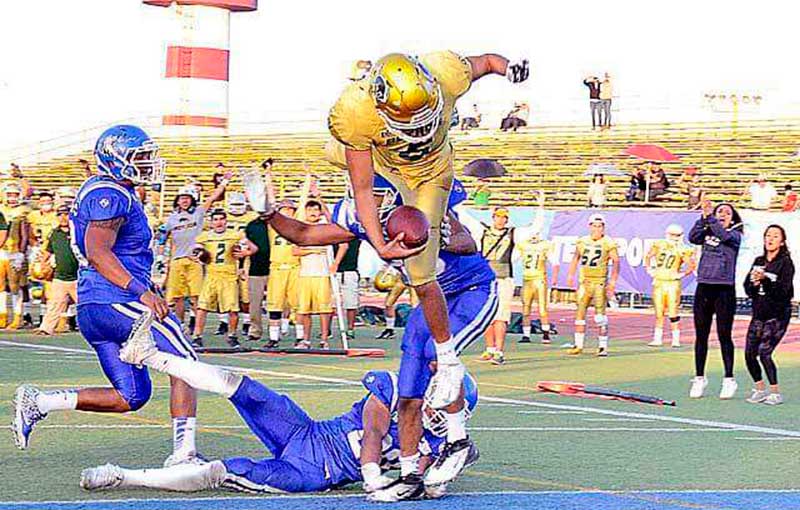 Van cuatro Potros Salvajes a la Selección Nacional ONEFA 2017