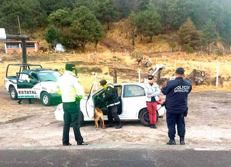 Con apoyo de perro policía, localizan drogas en auto conducido por joven en las faldas del Nevado de Toluca