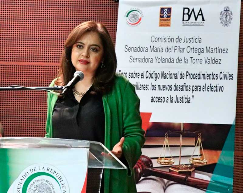 Proteger diferencias y reducir desigualdades es garantizar derechos humanos: Ana Lilia Herrera