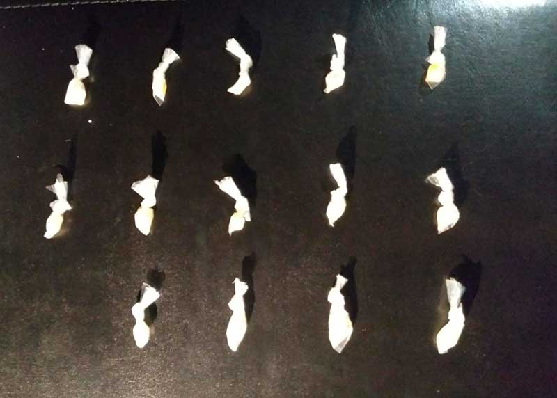Atrapan en Zinacantepec a sujeto con dosis de extraña droga que se obtiene del Sapo Búfalo