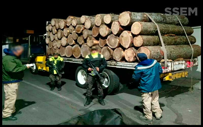 Decomisan madera de presunta procedencia ilegal