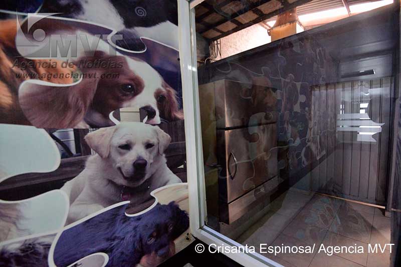Trabajan para la disposición sustentable de restos mortales de mascotas