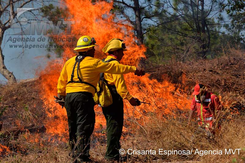 Suma Edomex mil 112 incendios forestales este año; CONAFOR hace quemas controladas para prevenirlos