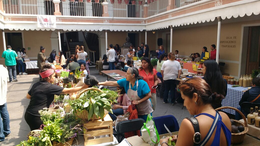 Realizan tianguis por la educación y la biodiversidad alimentaria en el Museo José María Velasco
