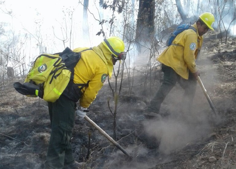 Controlado incendio forestal en Valle de Bravo, reportan 100 hectáreas de superficie afectada