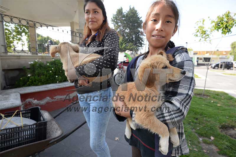 Exhorta Toluca a la población a esterilizar a sus mascotas en el CCA