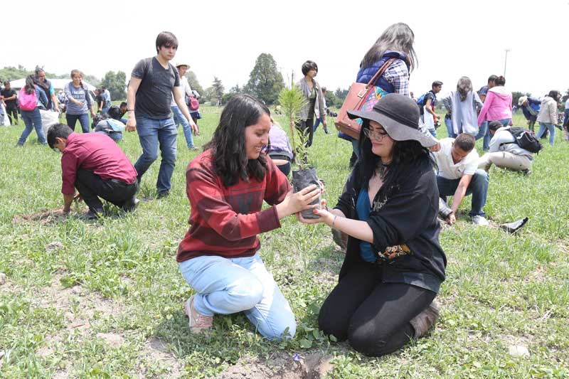 Plantarán universitarios más de 18 mil árboles