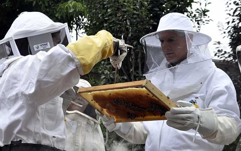 Visita mandatario mexiquense a apicultores y agricultores en zona de los Volcanes