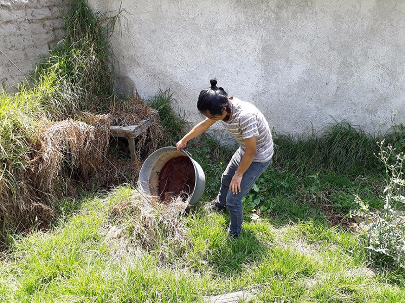 Reporta Edoméx 34 casos de dengue en lo que va del año