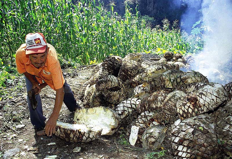 Suman nueve fallecidos atendidos en Edoméx por la explosión en Tlahuelilpan