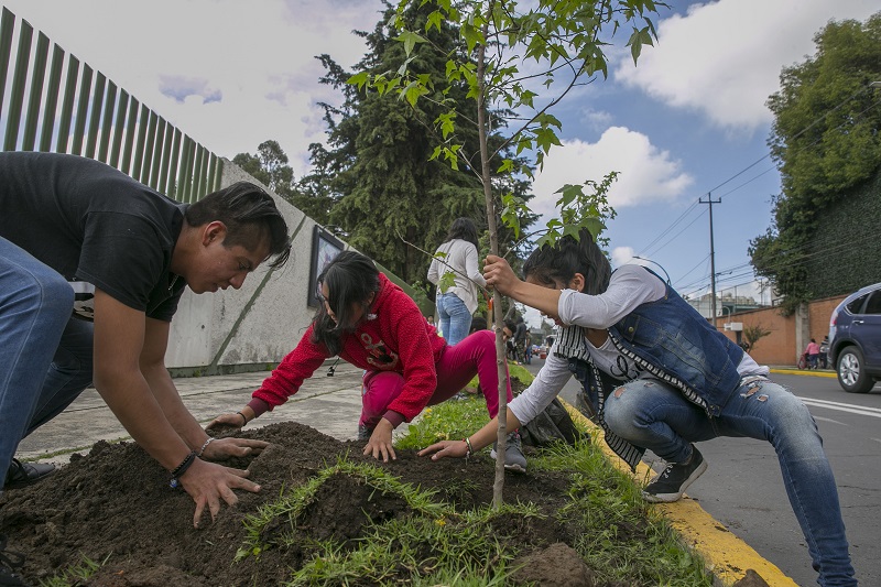 Estudiantes de UAEM realizaron arborización urbana en Toluca