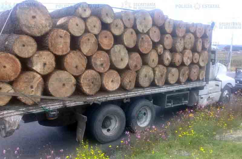 Incautan camión cargado de madera sin permiso