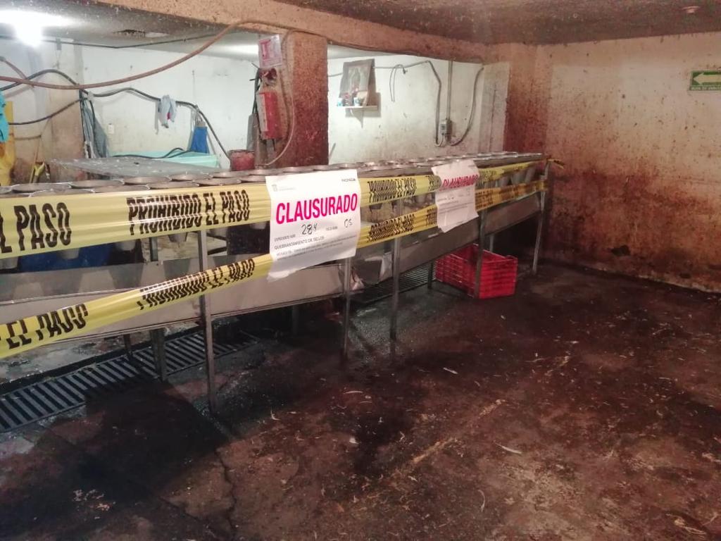 Asegura FGJEM, autoridades estatales y federales un rastro en Zinacantepec