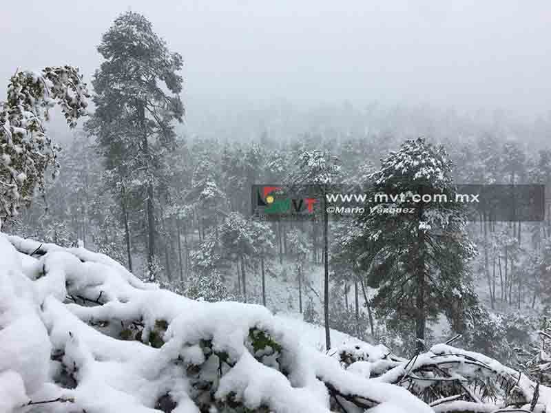 ¿Piensas subir al Nevado de Toluca?