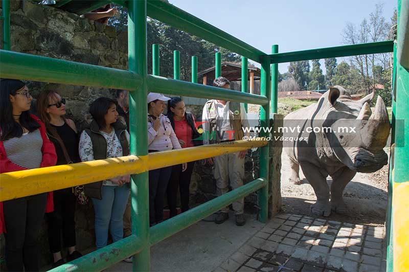 Con experiencia 4D acercan a visitantes con animales del zoológico de Zacango