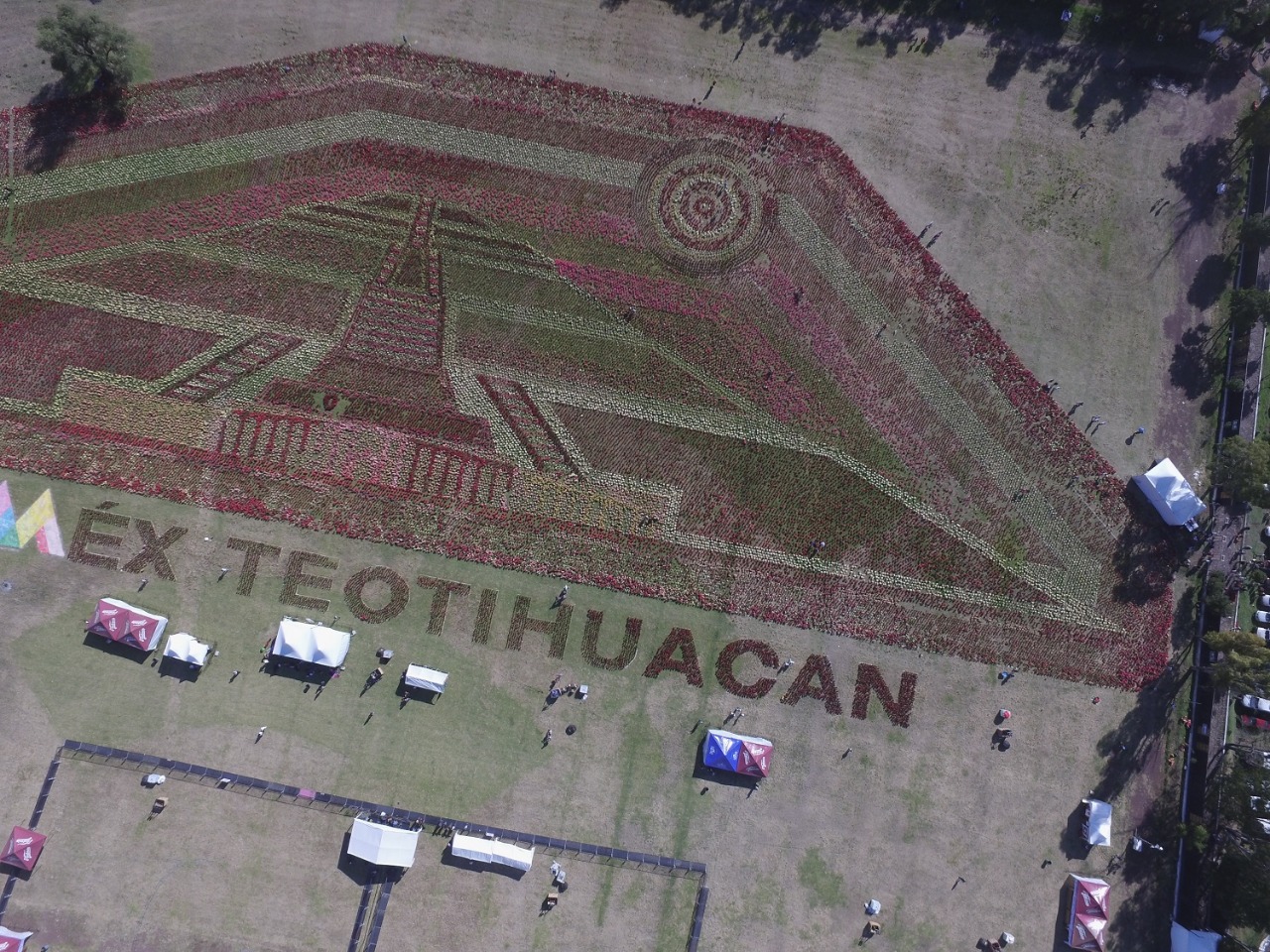 Rompen Récord Guinness por tapete floral en Teotihuacan