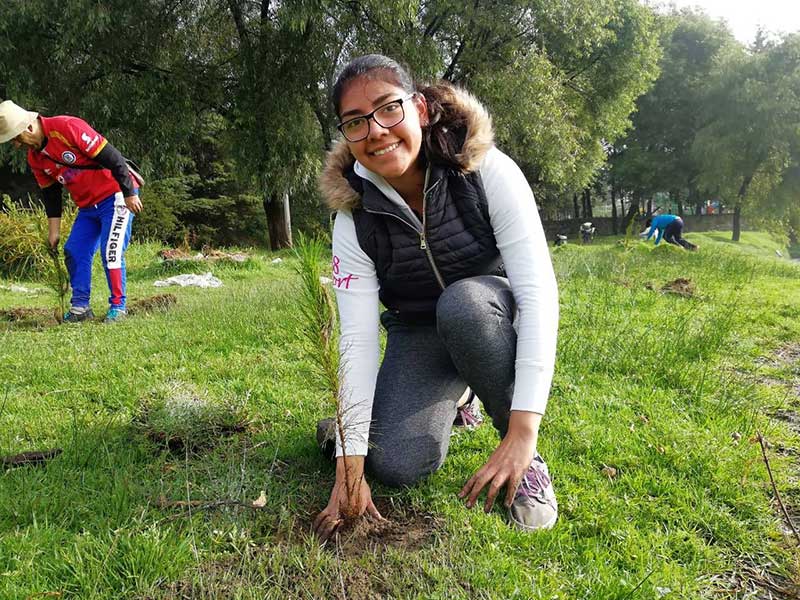 Ya se han plantado 215 mil arboles en Toluca durante la campaña «Juntos por una capital verde»