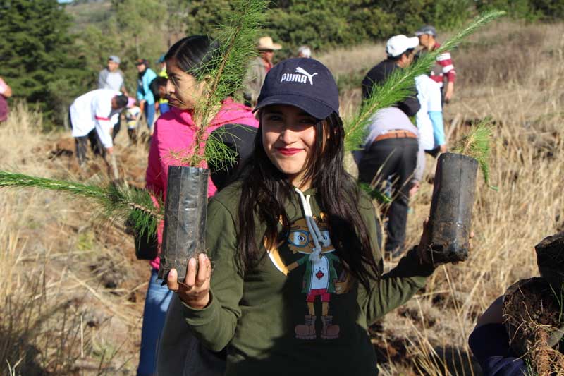 Se plantan 102 mil árboles en jornadas de reforestación social Edoméx